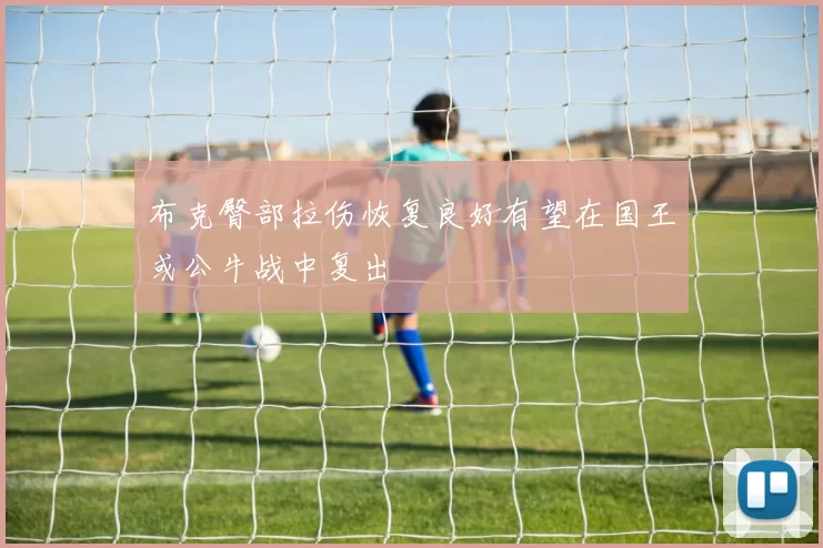 布克臀部拉伤恢复良好有望在国王或公牛战中复出